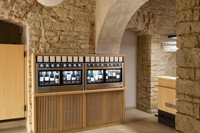 2 Hours Wine Tasting in a Historical Cellar in Krizikova - Comparing Moravia to the world, glass by glass