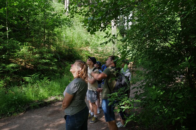 3 in 1 Tour Brewery & Castle in Bohemian Paradise Unesco Geopark - Prachov Rocks: Sandstone Labyrinths, Steps, and Surprise Views