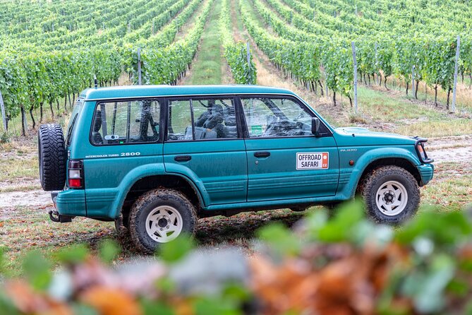A delightful wine tasting in the scenic countryside with lunch - Lunch at a countryside restaurant, not just a pit stop