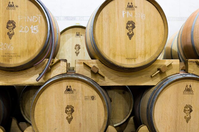 A delightful wine tasting in the scenic countryside with lunch - Group size, guides, and the day-trip vibe you should expect