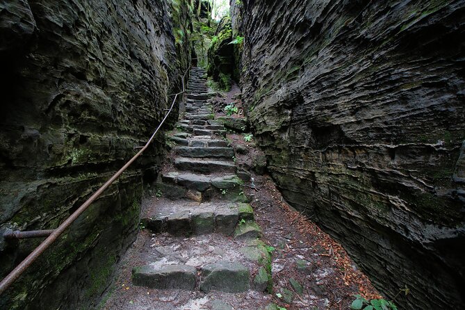 Bohemian Switzerland From Prague with Brewery Tour & Beer Tasting - Stop 3: Centrum Pivovar Decin and the warm smell of brewing