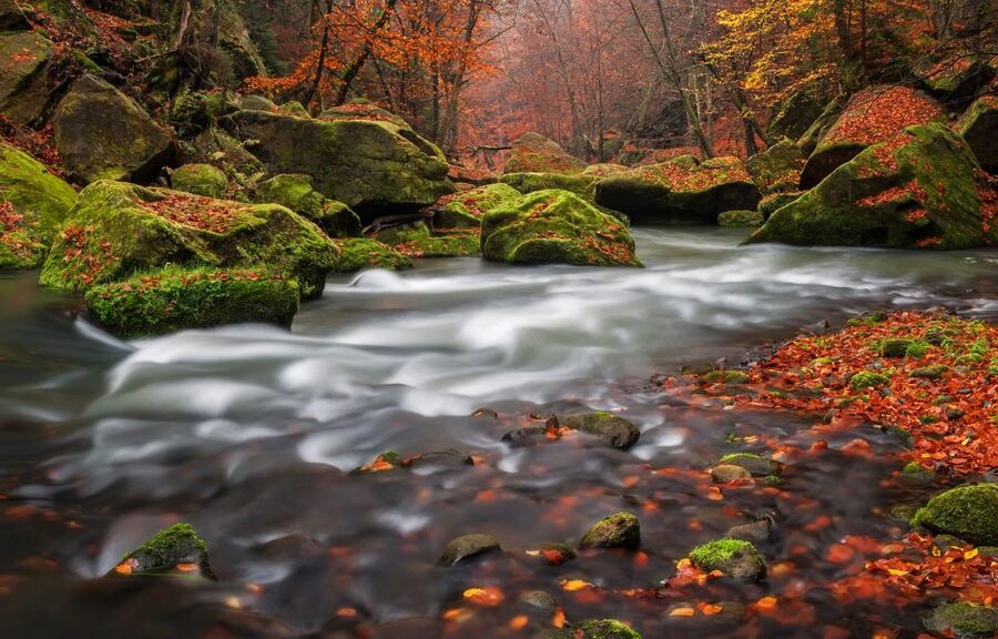 Bohemian Switzerland: Private Day Trip from Prague - Key things I’d plan around