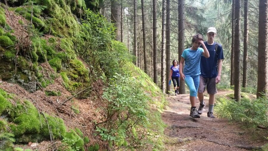 Bohemian Switzerland: Private Day Trip from Prague - Bohemian Switzerland, where the rocks do the talking