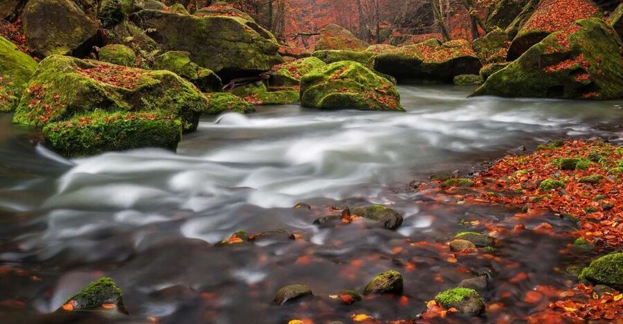 Bohemian Switzerland: Private Day Trip from Prague - River cruise on the Czech waterways: a scenic reset when it runs