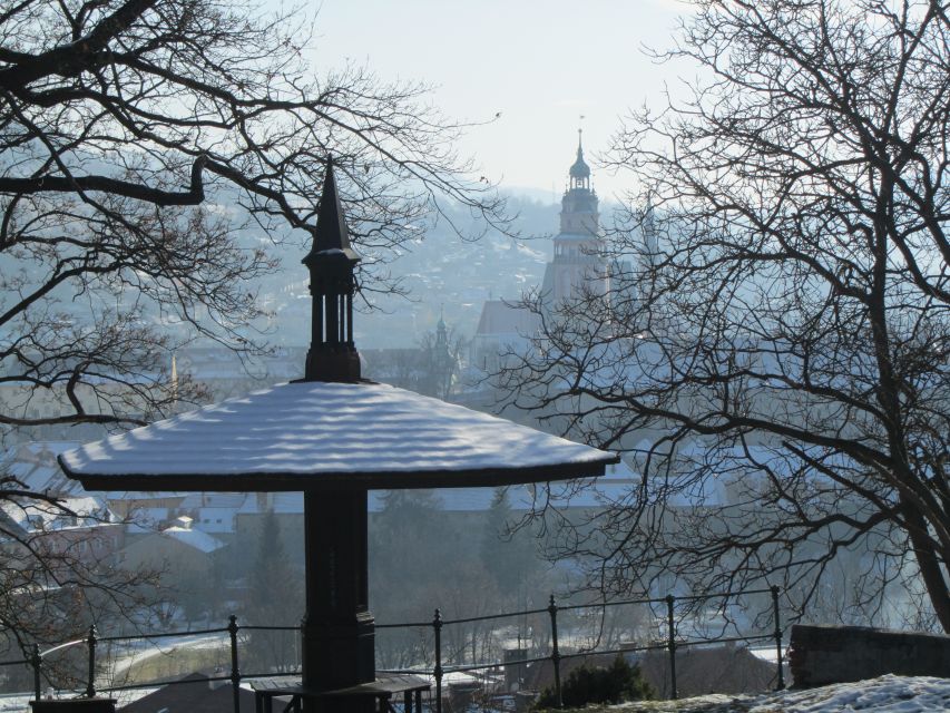 Český Krumlov: 2 Hour Private Walking Tour with Guide - Main Square and St Vitus Church: the spine of the Old Town