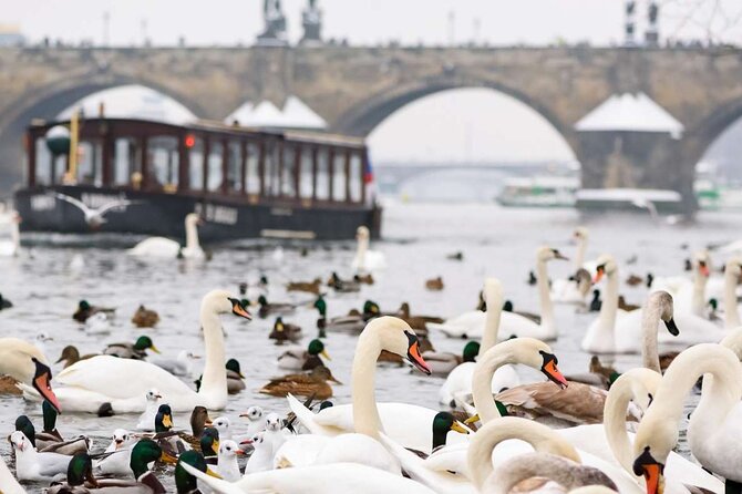 Charles Bridge: River Boat Cruise & Guided Tour ️with PragueWay - Charles Bridge Museum, a smart add-on stop