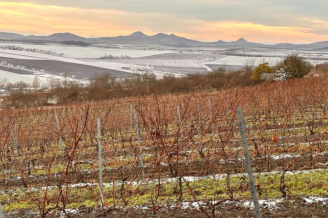 Cozy Winter Countryside Tour 4x4: Experience Authentic Bohemia - Price and value at $228.13 per person