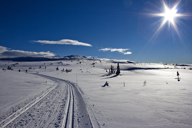 Cross-Country Skiing Guided Tour From Prague - Pickup and the 1.5-hour morning ride: what you gain before skis