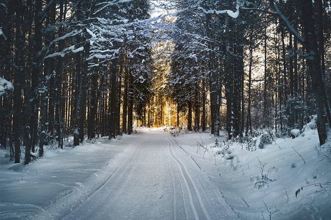 Cross-Country Skiing Guided Tour From Prague - Price and value: what $313 really covers