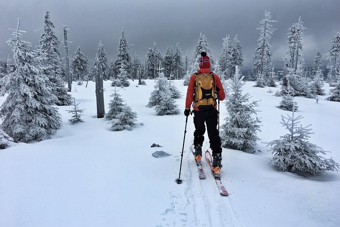 Cross-Country Skiing Guided Tour From Prague - Best-fit skiers, and who should think twice