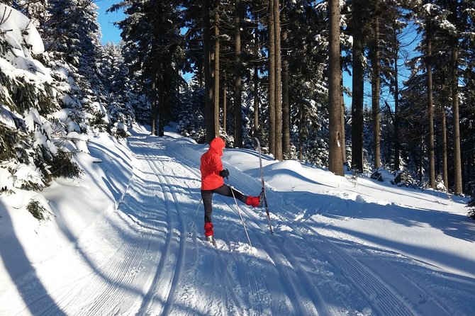 Cross-Country Skiing Guided Tour From Prague - Jizera Mountains skiing: equipment, safety, and real time on the trails