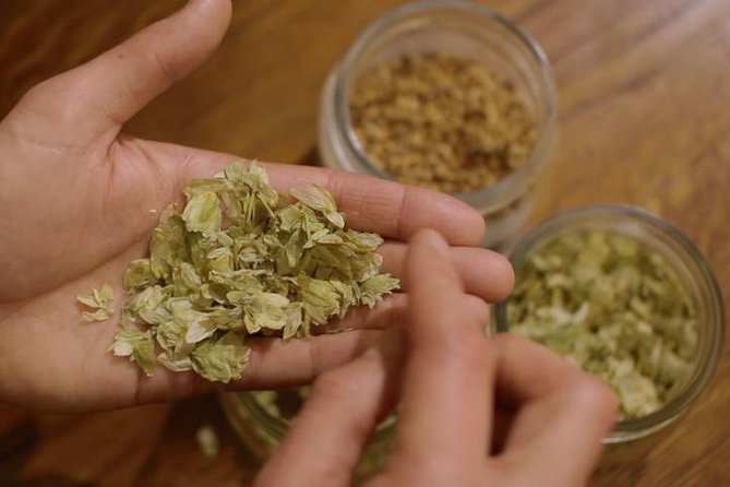 Czech Beer Tasting Experience - Beer Master Matters: Fun, Education, and the Personality Factor