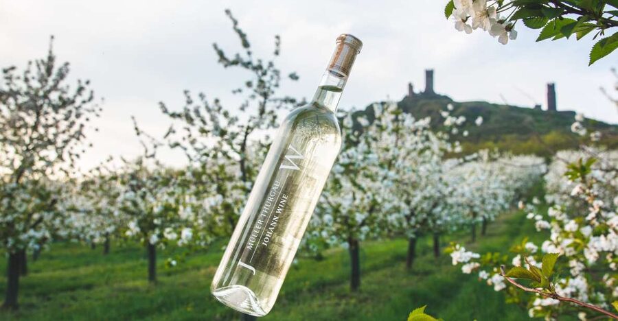 Czech Vineyards and Wine Tasting 4WD Tour with Lunch - Key highlights worth planning for