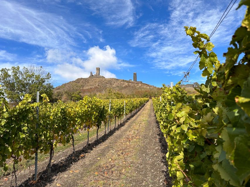 Czech Vineyards and Wine Tasting 4WD Tour with Lunch - Practical tips to make your day easier