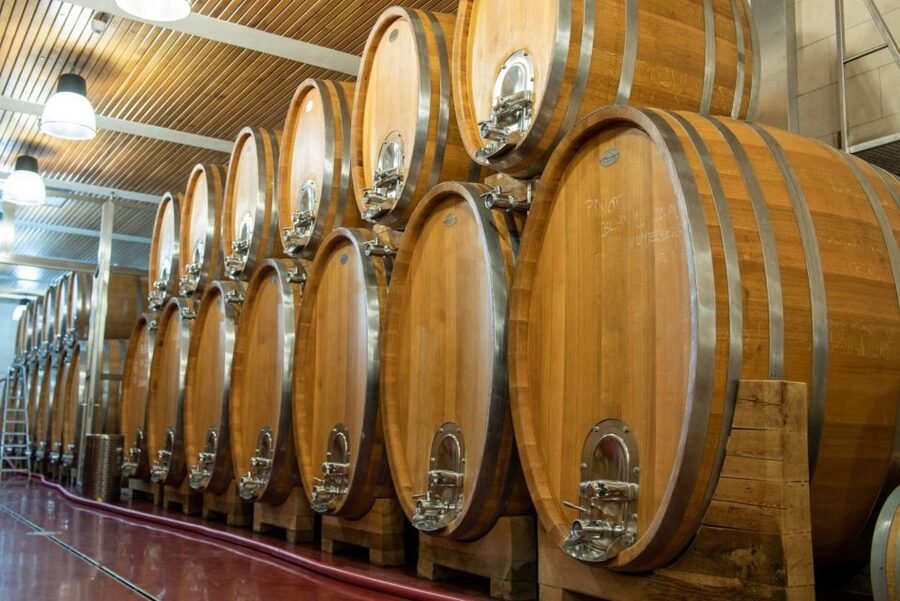Czech Vineyards and Wine Tasting 4WD Tour with Lunch - Lunch in the countryside, with beer and views included