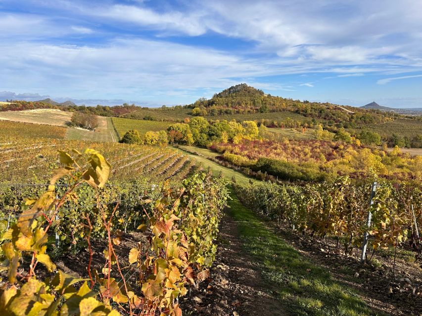 Czech Vineyards and Wine Tasting 4WD Tour with Lunch - Castles and the vineyard cemetery: gothic sights with guide context