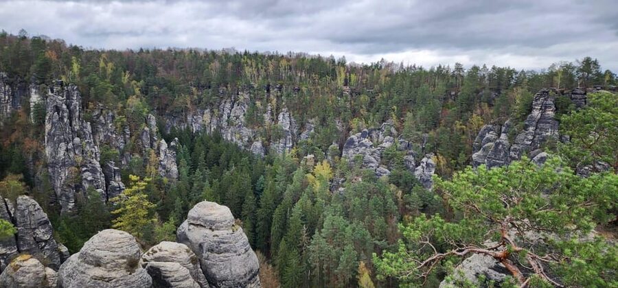 Day trip from Prague to Bohemian and Saxon Switzerland - Guide Style That Makes the Day Feel Personal