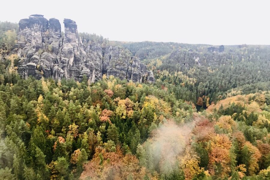 Dresden: Hassle-free trip to Bohemian and Saxon Switzerland - Lunch at a family-run Czech restaurant, where real hunger gets handled