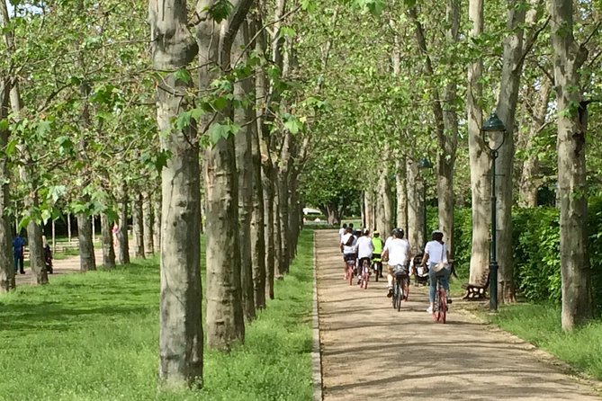 FAT TIRE E-BIKE GREAT TOUR - river, parks & panoramic views tour - The Real Value: 2.5 Hours That Covers Prague’s Best Angles