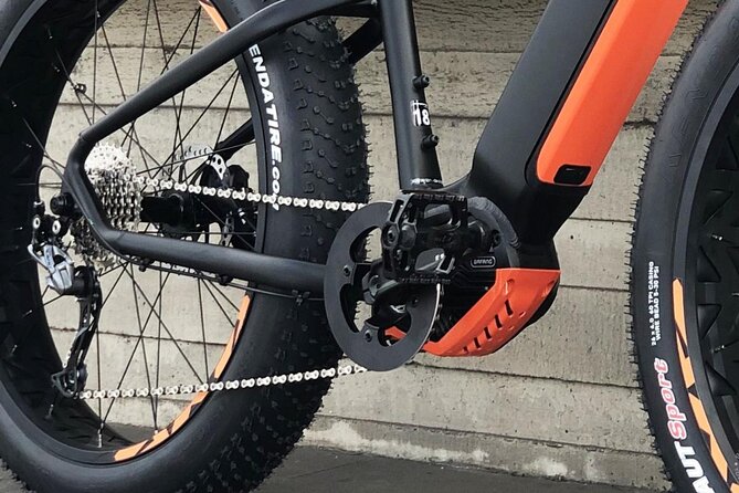 FAT TIRE E-BIKE GREAT TOUR - river, parks & panoramic views tour - Cernin Palace Stop: A Government-Facing Interlude