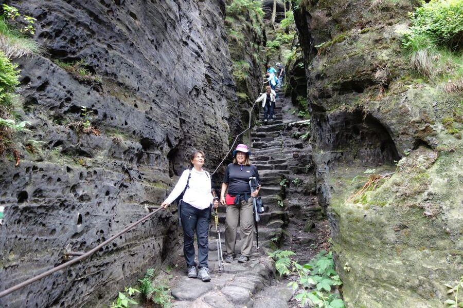 From Prague: Bohemian & Saxon Switzerland All-Inclusive Tour - Bastei Bridge and the Neurathen Rock Castle Ruins