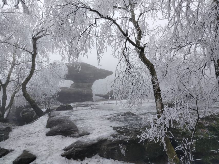 From Prague: Bohemian & Saxon Switzerland Iconic Day Trip - Bohemian Switzerland lunch: Czech food that restores energy