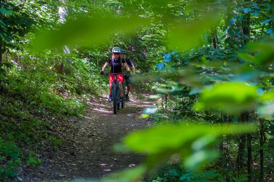 From Prague: E-Mountain Biking Trip to the Bohemian Paradise - Nebakov lakeside downhill: lunch in a remote-feeling setting