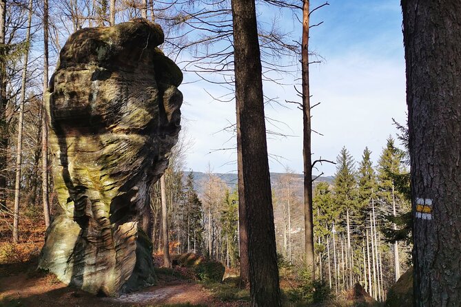 Full-Day Hiking in Bohemian Paradise Malá Skála near Prague - The train start: simple, scenic, and time-efficient