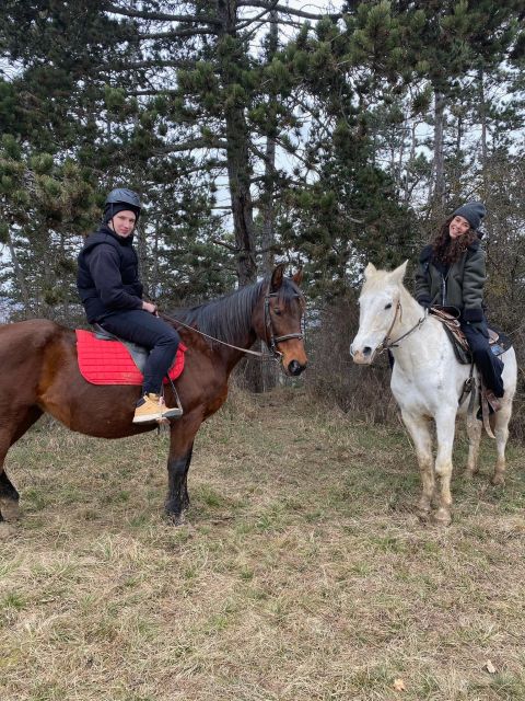 Horseback riding tour near Prague - The walk-only ride: what you do for 50 to 60 minutes