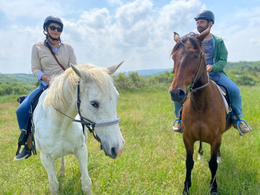 Horseback riding tour near Prague - Should you book it? My practical decision guide