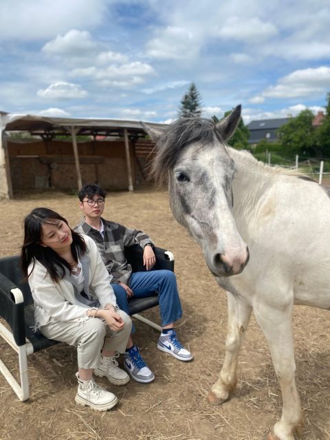 Horseback riding tour near Prague - Getting to Lucký mlýn 1577 from Prague without wasting time