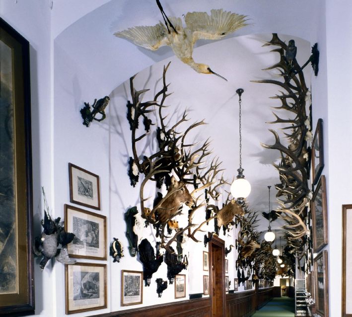 Konopiště: Chateau Tour from Prague - Should you book this Konopiště tour from Prague?