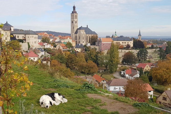 Kutná Hora and Bone church - private tour with PERSONAL PRAGUE GUIDE - Pickup, transport, and the 6 to 7 hour rhythm from Prague