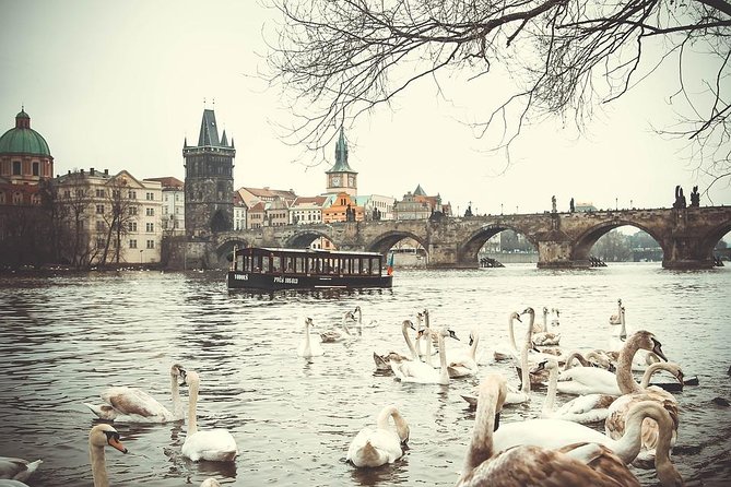 Magical Prague Private Half-Day Tour - Why this half-day tour works in Prague