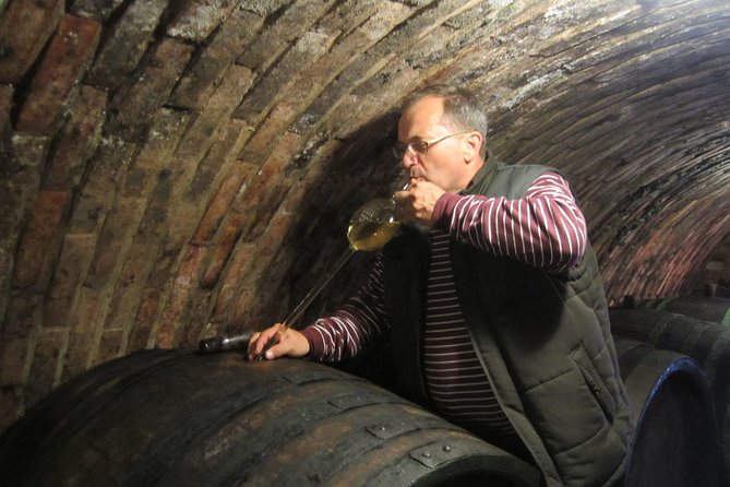 Moravian wine trails - Valtice: cellars with serious age, plus the National Wine Salon tastings