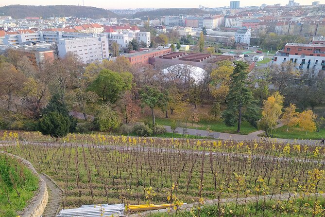 Non-touristy Prague - Cozy Neighborhoods - Private Tour - Zizkov: local spirit first, before you get in your quiet-villa mode