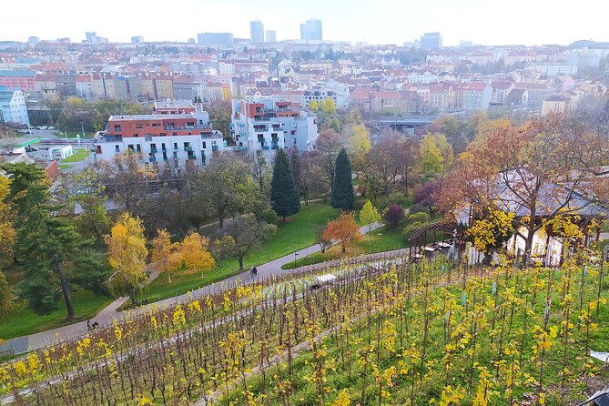 Non-touristy Prague - Cozy Neighborhoods - Private Tour - Parukarka, Grébovka, and Folimanka: parks that reward your time