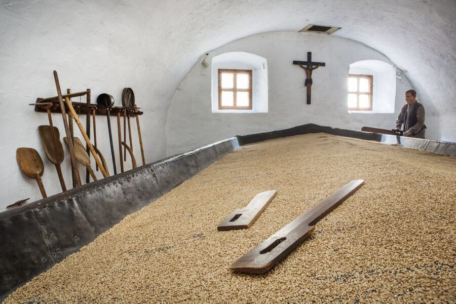 Pilsen: Brewery Museum Entrance with a Glass of Beer - Medieval beer in the cellars: reeds, serving, and hidden spaces