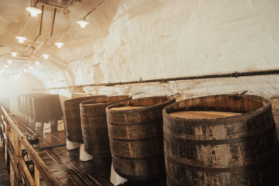 Pilsen: Pilsner Urquell Brewery Tour with Beer Tasting - Why Pilsen is the place where pilsner became a world model