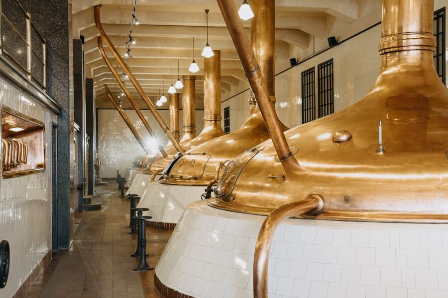 Pilsen: Pilsner Urquell Brewery Tour with Beer Tasting - The ingredient lesson, tied to the flavor you taste