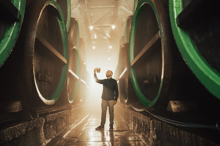 Pilsen: Pilsner Urquell Brewery Tour with Beer Tasting - Historic cellars at the end, where the unfiltered tasting happens