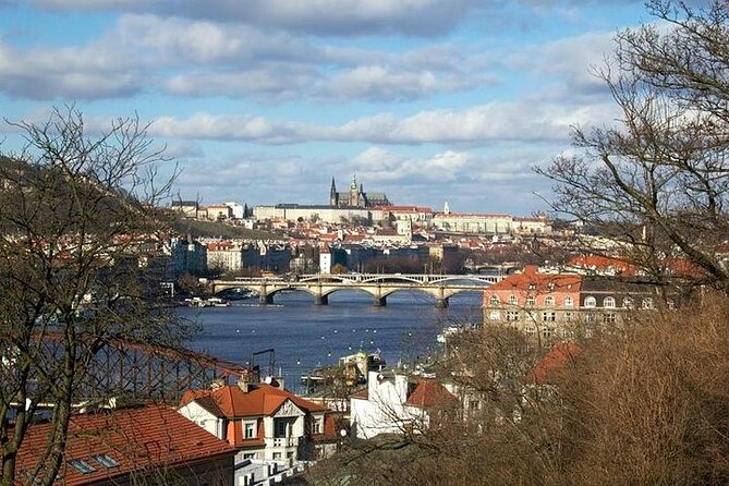 Prague 3-hour Afternoon Walking Tour including Prague Castle - Transportation, Steps, and Cold Weather Realities