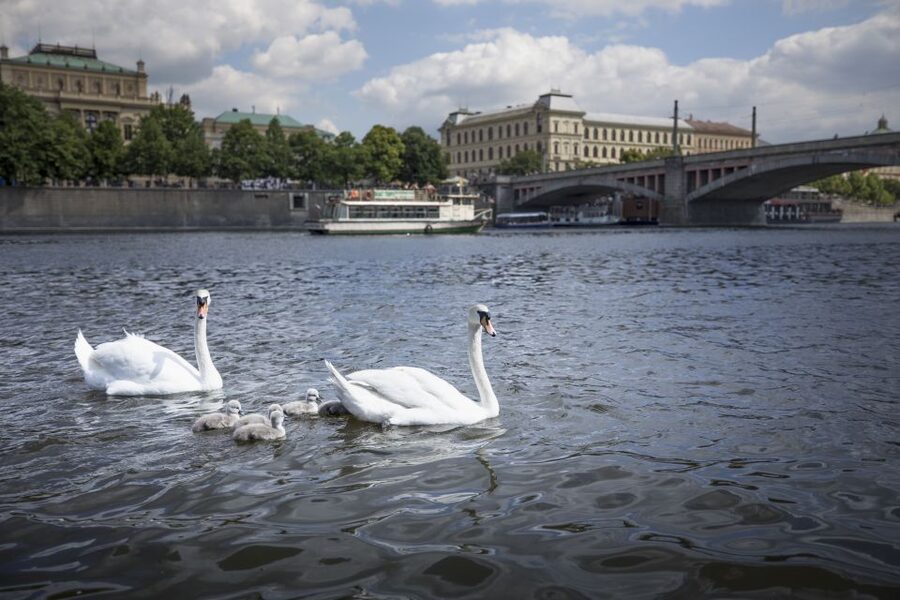 Prague: 3–Hour Castle Grounds Walking Tour and River Cruise - Who This Tour Suits Best, and Who Should Rethink It