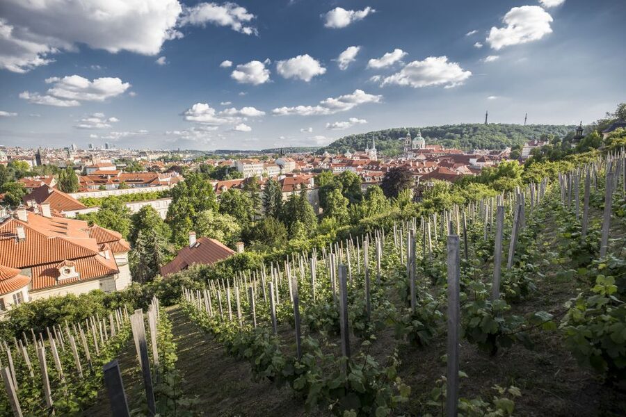 Prague: 3–Hour Castle Grounds Walking Tour and River Cruise - Charles Bridge Museum and How the Bridge Tells Its Own Story