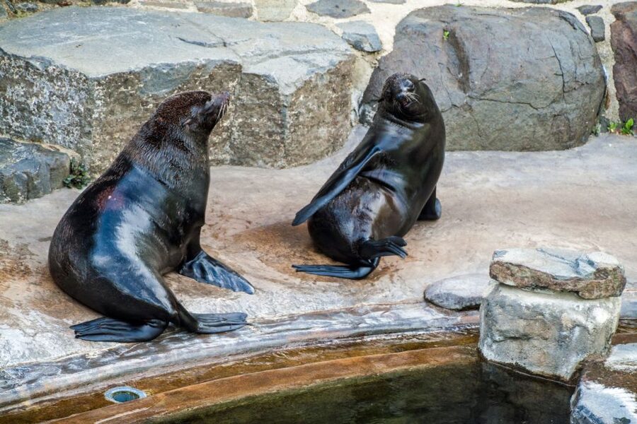 Prague: Boat Ride to the Zoo and Admission Ticket - Where You Meet, and How to Avoid the First-Day Confusion