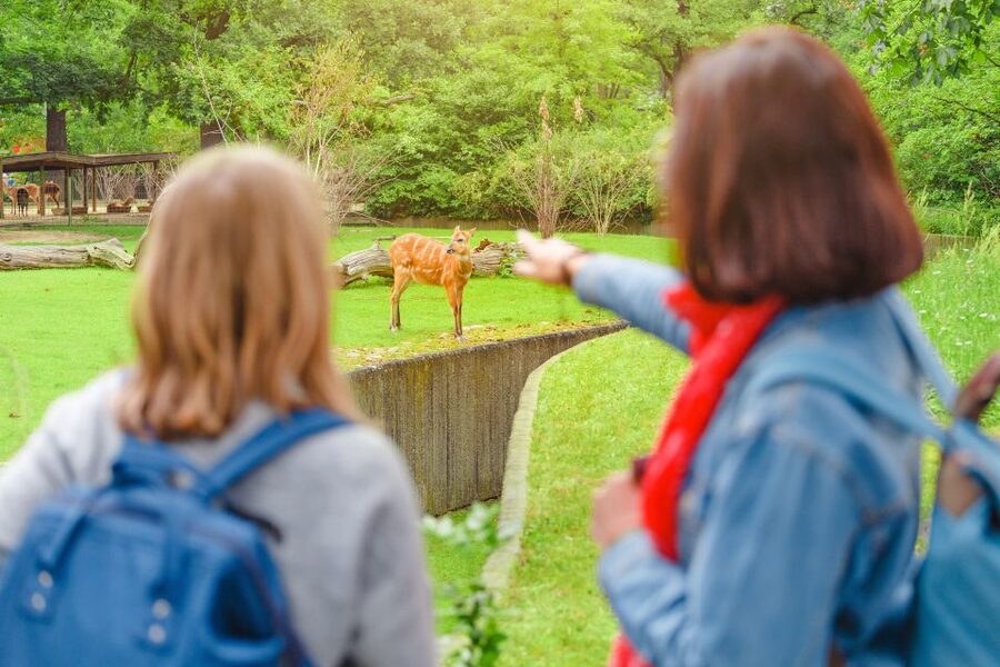 Prague: Boat Ride to the Zoo and Admission Ticket - How to Spend Your Time in a Hilly Zoo Without Wearing Yourself Out