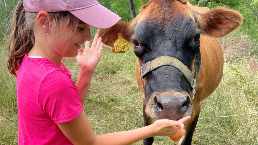 Prague: Bohemian Uplands Garnet Panning&Animal Farm 4WD Tour - Should you book this 4WD garnet and farm day trip?