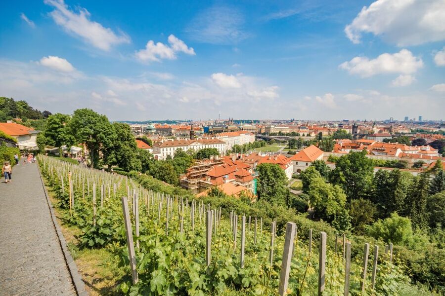 Prague Castle 2.5-Hour Tour Including Admission Ticket - Lesser Town Square tram ride: a smart mid-tour breather