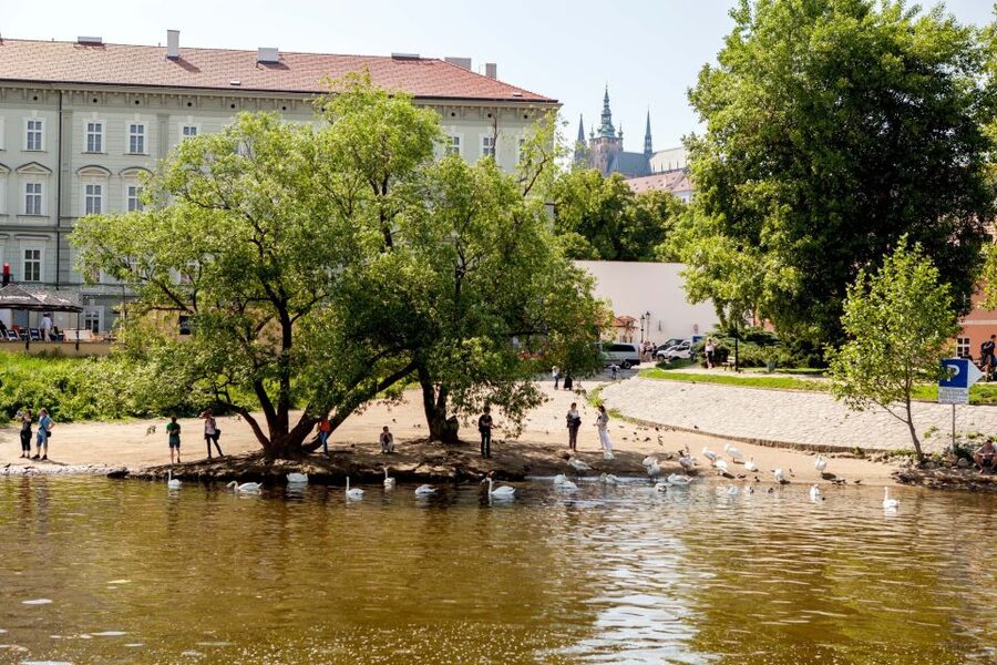 Prague Cruise: 1-Hour on the River Vltava - Meeting point near Štefánikův Bridge, how to plan your arrival