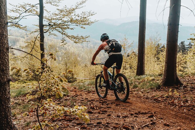 Prague E-Mountain Biking Adventure In The Bohemian Paradise - Price and Value: Is $155.18 Worth It?